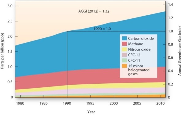 <strong> Which of the following gases accounts for the largest amount of radiative forcing?</strong> A)Carbon dioxide (CO2). B)Nitrous oxides (N2O). C)Chlorofluorocarbons (CFCs). D)Methane (CH4).