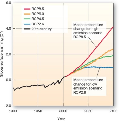 <strong> According to the RCP scenarios,which of the following represents major reductions in CO2 emissions and actions to remove CO2 from the atmosphere?</strong> A)RCP8.5. B)RCP6.0. C)RCP4.5. D)RCP2.6.