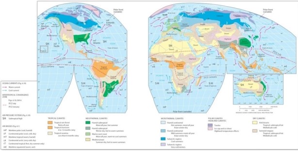 <strong>  Which air mass appears to predominately influence the humid subtropical region?</strong> A)Maritime polar (mP). B)Maritime tropical (mT). C)Continental tropical (cT). D)Continental polar (cP). <div style=padding-top: 35px> 