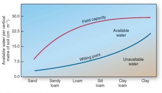 <strong>  Of the following,which soil type has the highest field capacity?</strong> A)Loam. B)Clay loam. C)Silt loam. D)Sandy loam. <div style=padding-top: 35px> 