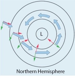 <strong>  Which of the following best describes the figure above?</strong> A)A high pressure center (anticyclone). B)Winds influenced by both the pressure gradient and Coriolis forces. C)Wind movement based on the pressure gradient force alone. D)Geostrophic winds. <div style=padding-top: 35px> 