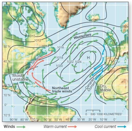 <strong>  Which of the following best describes the subtropical high pressure system in the North Atlantic and associated cool and warm currents?</strong> A)These bring cool waters to the eastern shores of North America. B)These influence the warm and dry conditions in the Bahamas. C)These circulate warm ocean currents along the western African coast. D)These contribute west African deserts (dry,stable climate). <div style=padding-top: 35px> 