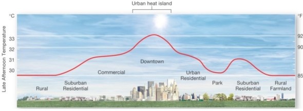 <strong>  Following the urban heat island profile from rural areas to a typical downtown urban area,which of the following is true?</strong> A)Commercial and urban residential areas have the highest late afternoon temperatures. B)Large urban parks do not mitigate against the urban heat island. C)On average,urban areas are 1 to 3°C higher than nearby rural areas. D)The temperature variations between urban and rural environments are negligible. <div style=padding-top: 35px> 