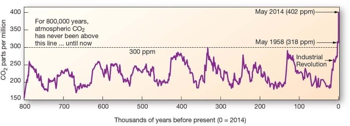 <strong>The primary anthropogenic source of atmospheric carbon dioxide (CO2)is</strong> A)burning of fossil fuels. B)respiration. C)rice farming. D)clearing and burning land.