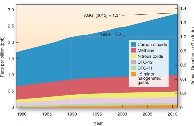 <strong> Which of the following gases accounts for the largest amount of radiative forcing?</strong> A)Carbon dioxide (CO2) B)Methane (CH4) C)Nitrous oxides (N<sub>2</sub>O) D)Chlorofluorocarbons (CFCs)
