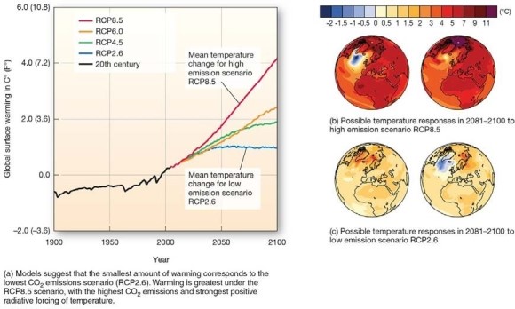 <strong> According to the RCP8.5 scenario of high emissions</strong> A)global surface temperatures will increase until about mid-century,then steadily decrease. B)global surface temperatures will increase throughout the 21st century,but at a very gradual rate. C)global surface temperatures will cool during the most of the 21st century. D)global surface temperatures will increase throughout the 21st century,perhaps by as much as 4°C (7.2°F)by 2100.