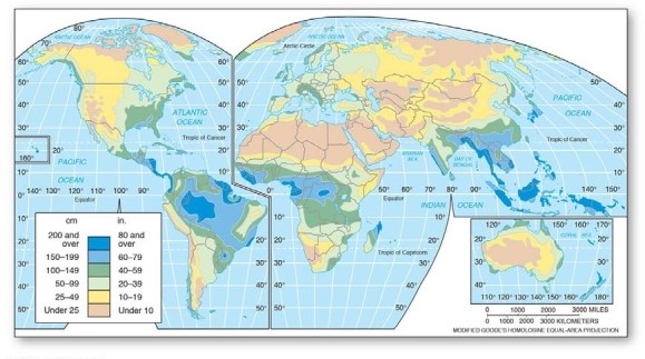 <strong> An empirical classification is based on,among other factors</strong> A)the origin or genesis of the climate. B)the mean annual temperature and precipitation of an area. C)causative factors. D)the interaction of air masses.