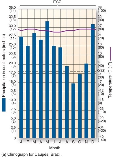 <strong> This climograph is characteristic of which climate type?</strong> A)Marine west coast B)Mediterranean C)Tropical savanna D)Tropical rain forest