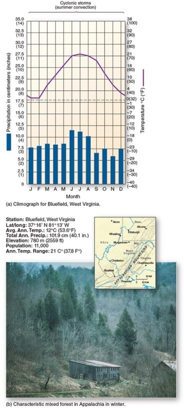 <strong> This climograph is characteristic of which climate type?</strong> A)Humid continental hot-summer B)Marine west coast C)Mediterranean D)Humid subtropical winter-dry