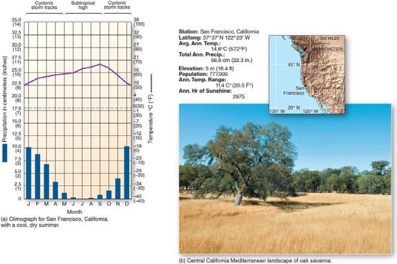 <strong> This climograph is characteristic of which climate type?</strong> A)Highland B)Mediterranean C)Humid subtropical winter-dry D)Tropical monsoon