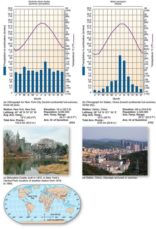<strong> This climograph is characteristic of which climate type?</strong> A)Subtropical hot desert B)Tundra C)Mediterranean D)Humid continental hot-summer
