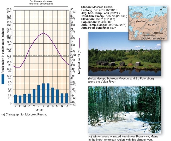 <strong> This climograph is characteristic of which climate type?</strong> A)Midlatitude cold desert B)Tundra C)Humid continental mild-summer D)Polar maritime