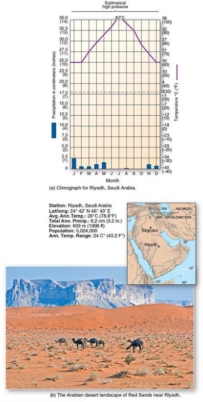<strong> This climograph is characteristic of which climate type?</strong> A)Tropical rain forest B)Marine west coast C)Humid subtropical hot-summer D)Subtropical hot desert