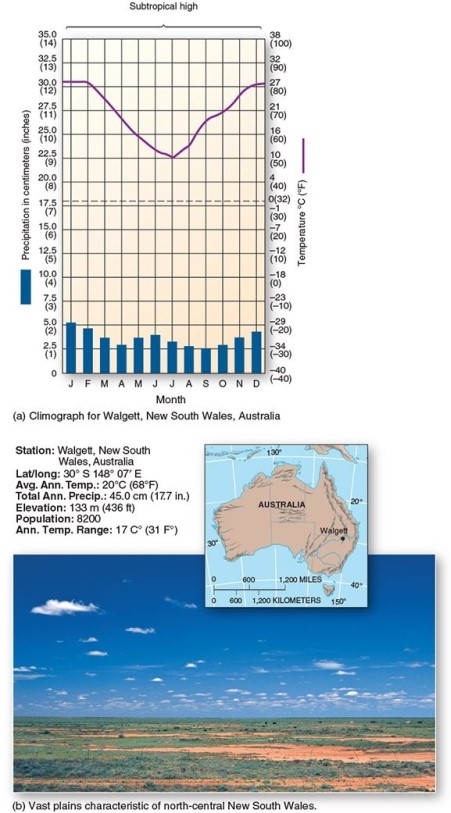 <strong> This climograph is characteristic of which climate type?</strong> A)Subtropical hot steppe B)Mediterranean C)Marine west coast D)Tropical savanna