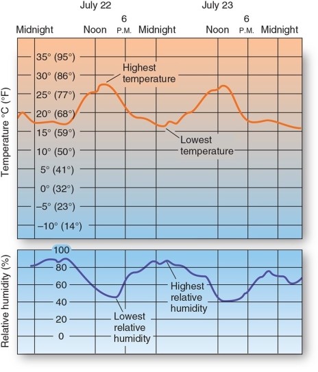 <strong> On a typical day,the point of highest relative humidity is associated with</strong> A)solar noon. B)dusk. C)the time of the highest temperature. D)the time of the lowest temperature.