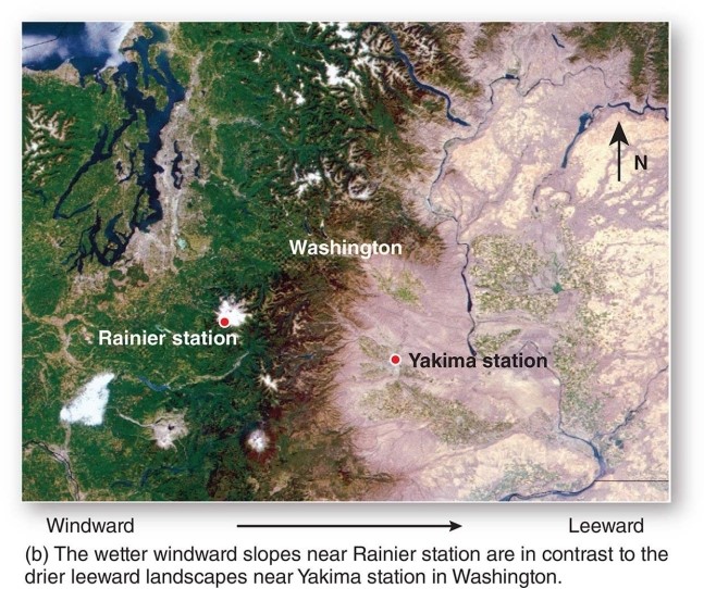 -In the state of Washington,the western portion of the state receives far more rainfall than the eastern portion of the state.What accounts for this stark contrast?