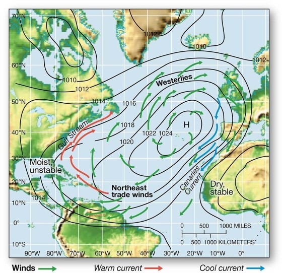 <strong> The subtropical high pressure system in the North Atlantic and associated cool and warm currents</strong> A)circulate warm ocean currents along the western African coast. B)bring cool waters to the eastern shores of the United States. C)contribute to west African deserts (dry,stable climate) D)influence the warm and dry conditions in the Bahamas.