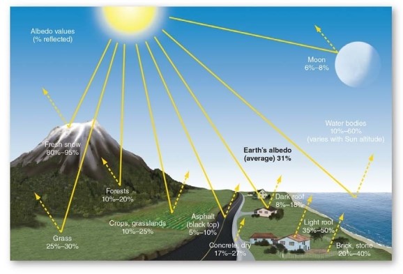 <strong>  Which of the following is TRUE of the albedo of water?</strong> A)It never changes albedos are constant values B)It changes,depending upon the Sun altitude. C)It is less for frozen water than for liquid water. D)It is greatest when the Sun is low in the sky. <div style=padding-top: 35px> 
