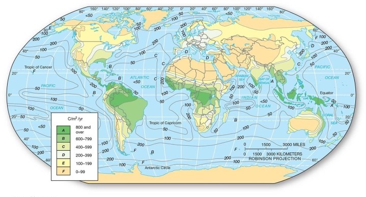 <strong>  In which of the following areas would one tend to find the highest net primary productivity?</strong> A)Central Australia B)Eurasia C)Northern Brazil D)Western Canada <div style=padding-top: 35px> 
