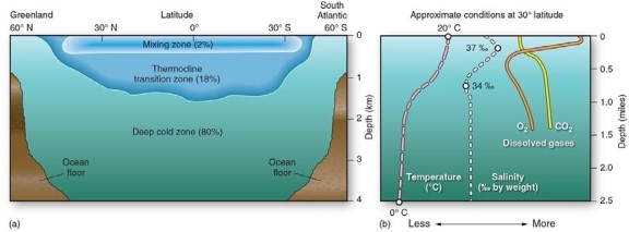 <strong>  According to the figure above,within the mixing zone and thermocline,the average temperature and salinity</strong> A)decrease with depth. B)increase with depth. C)remain fairly constant with depth. D)decrease within the mixing zone,but increase the thermocline. <div style=padding-top: 35px> 