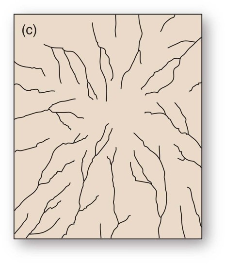 <strong>This drainage pattern is characteristic of dipping or folded topography.</strong> A)Trellis B)Annular C)Radial D)Rectangular