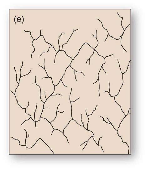 <strong>This drainage pattern is associated with steep slopes.</strong> A)Dendritic B)Parallel C)Trellis D)Deranged
