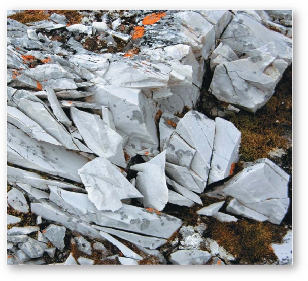 <strong>Frost wedging is an example of weathering processes.</strong> A)both biological and chemical B)physical C)biological D)chemical