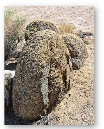 <strong>Weathering that softens and rounds the sharp edges and corners of jointed rock is known as</strong> A)spheroidal weathering. B)exfoliation. C)hydrolysis. D)hydration.
