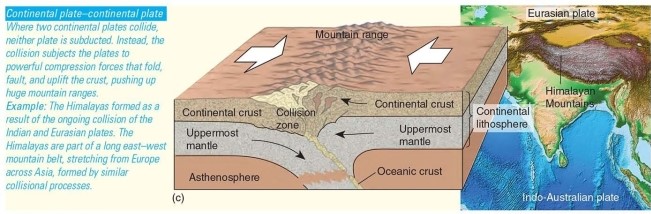 <strong>What type of convergent boundary associated with orogeny is illustrated here?</strong> A)Continental plate-continental plate collision B)Oceanic plate-oceanic plate collision C)Oceanic plate-continental plate collision