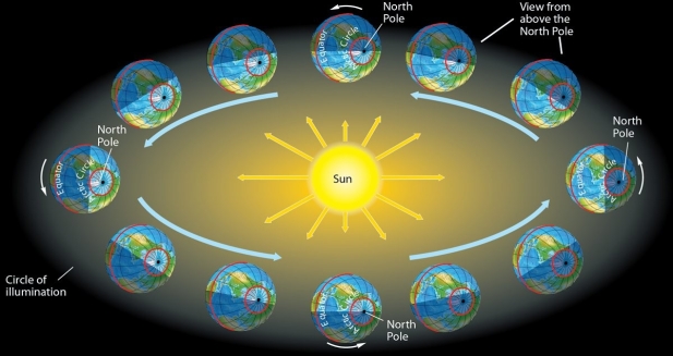 <strong> Which of the following is true for the September Equinox?</strong> A) There is 24 hours of daylight at the North Pole. B) The Arctic Circle is completely within the circle of illumination. C) The Antarctic Circle is completely within the circle of illumination. D) The circle of illumination passes through both the poles. E) There is 24 hours of daylight at the South Pole.