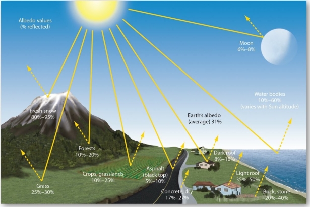 <strong>  Which of the following has the lowest albedo?</strong> A) fresh snow B) croplands C) light roof D) forests E) the Moon <div style=padding-top: 35px> 