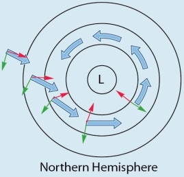 <strong> The figure is an example of</strong> A) A high pressure center (anticyclone). B) winds influenced by both the pressure gradient and Coriolis forces. C) wind movement based on the pressure gradient force alone. D) geostrophic winds.