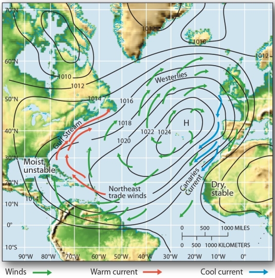 <strong> The subtropical high pressure system in the North Atlantic and associated cool and warm currents</strong> A) bring cool waters to the eastern shores of the United States. B) influence the warm and dry conditions in the Bahamas. C) circulate warm ocean currents along the western African coast. D) contribute west African deserts (dry, stable climate).