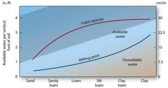 <strong>  Of the following, which soil type has the highest field capacity?</strong> A) loam B) clay loam C) silt loam D) sandy loam <div style=padding-top: 35px> 
