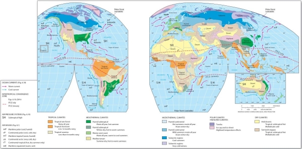 <strong>  Which air mass appears to predominately influence the humid subtropical region?</strong> A) maritime polar (mP) B) maritime tropical (mT) C) continental tropical (cT) D) continental polar (cP) E) maritime equatorial (mE) <div style=padding-top: 35px> 