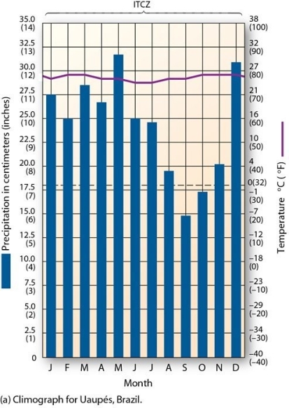 <strong>  This climograph is characteristic of which climate type?</strong> A) Mediterranean B) tropical rain forest C) tropical savanna D) marine west coast <div style=padding-top: 35px> 