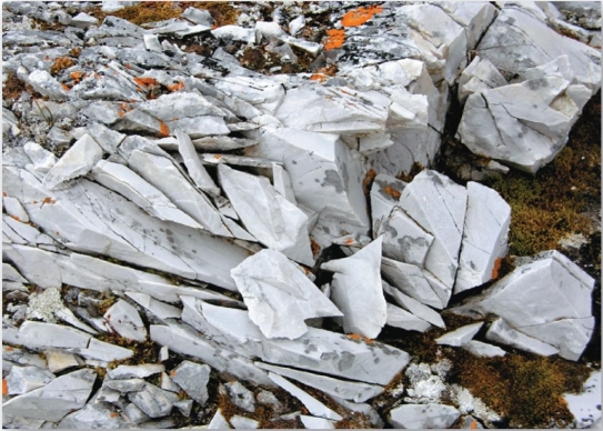 <strong>  The weathering process responsible for breaking this marble is likely</strong> A) exfoliation. B) carbonation. C) frost wedging. D) salt-crystal growth. <div style=padding-top: 35px> 