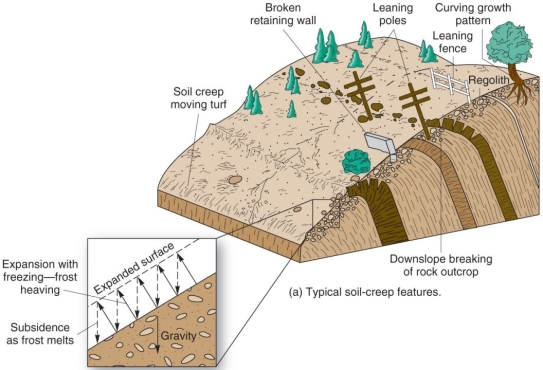 <strong>  The mass movement process responsible of the curved growing pattern in the trees and the downsloping leaning of the utility posts and fences is</strong> A) debris avalanche. B) soil creep. C) landslide. D) rockfall. <div style=padding-top: 35px> 