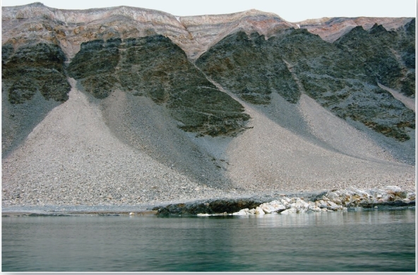 <strong>  The photograph is an example of a</strong> A) talus slope. B) debris avalanche. C) mudflow. D) landslide. <div style=padding-top: 35px> 