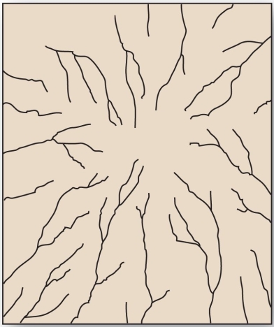 <strong> This drainage pattern results when streams flow off a central peak or dome.</strong> A) annular B) trellis C) radial D) rectangular