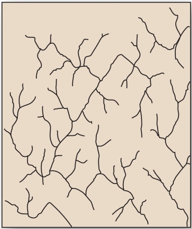 <strong> Faulted and jointed landscapes directs streams courses in patterns of right-angle turns forming this drainage pattern.</strong> A) radial B) rectangular C) trellis D) dendritic
