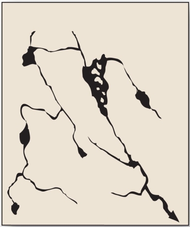 <strong> With no clear geometry and no true stream valley, this drainage pattern occurs in areas such as glaciated shield regions.</strong> A) deranged B) radial C) parallel D) dendritic