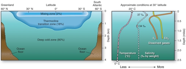 <strong> Within the mixing zone and thermocline, average temperature and salinity</strong> A) decrease with depth. B) increase with depth. C) remain fairly constant with depth. D) decrease within the mixing zone, but increase the thermocline.