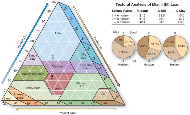 <strong> A soil that is 20% sand, 60% silt, and 20% clay is classified as</strong> A) sandy clay. B) sandy clay loam. C) silt loam. D) clay loam.