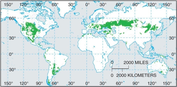 <strong> These grassland soils are some of the Earth's most significant agricultural soils.</strong> A) Gelisols B) Molliso1s C) Aridisols D) Inceptisols