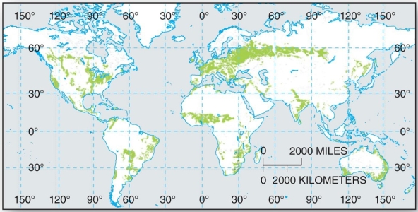 <strong> These soils are the most spatially widespread, extending from the equator to high latitudes.</strong> A) Vertisols B) Alfisols C) Entisols D) Gelisols