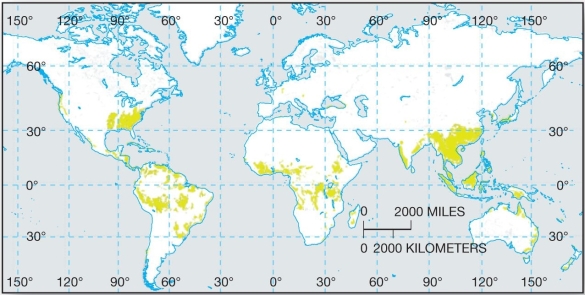 <strong> Relatively high precipitation in the regions in which these soils are found cause greater mineral alterations and more alluvial leaching than in other soils.</strong> A) Oxisols B) Andisols C) Gelisols D) Ultisols