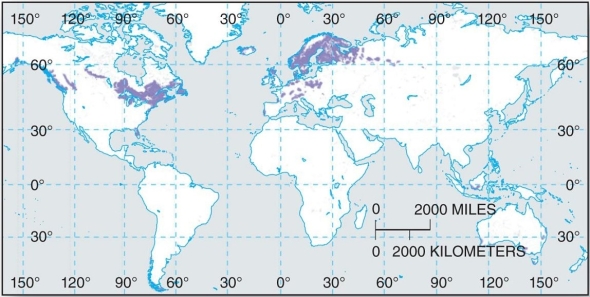 <strong> These soils primarily occur in the northern coniferous forests, but may also occur with more moderate properties under mixed or deciduous forests.</strong> A) Ultisols B) Inceptisols C) Entisols D) Spodosols