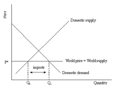 Consider the following supply and demand diagram shown for a small domestic country.Note that at the world free-trade price of P* illustrated in the diagram,there are imports of Q<sub>1</sub> - Q<sub>0</sub>. If a government wanted more tariff revenue,given the same tariff,t,would it desire elastic or inelastic demand of the imported good? Explain.Be sure to illustrate your explanation with an appropriate diagram.