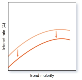 <strong>Which of the following would have the impact shown in the accompanying graph? </strong> A)Operation twist. B)Credit easing. C)Quantitative easing. D)Credit easing